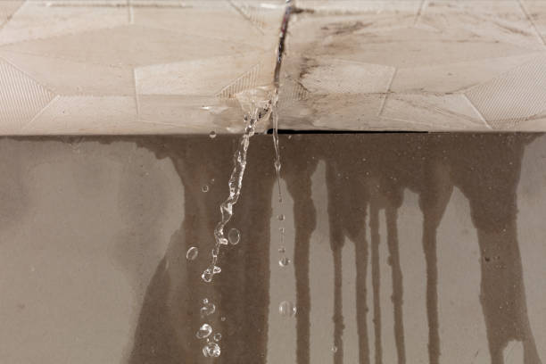 Professional Structural Drying technician working in Mount Holly, NJ